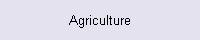 Agriculture