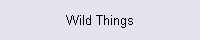 Wild Things