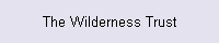 The Wilderness Trust