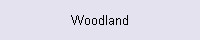 Woodland
